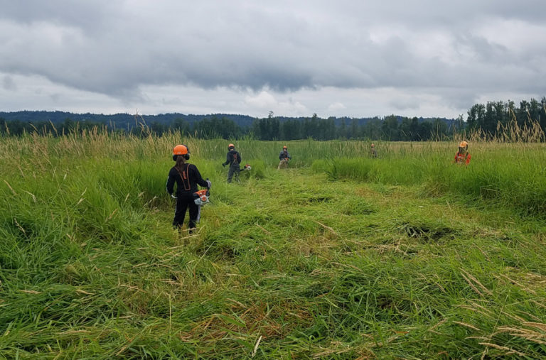 Workers spray reed canary grass at the Steigerwald Lake National Wildlife Refuge in 2019.