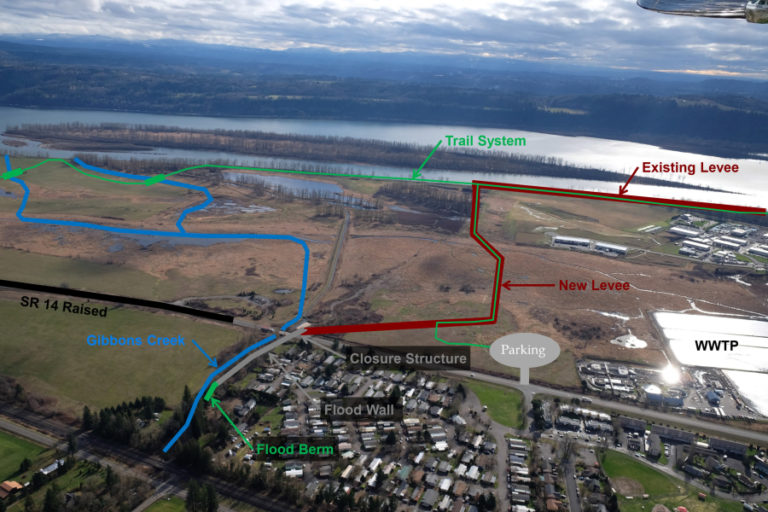 A concept design shows where a new levee was installed during the three-year, $31 million Steigerwald Reconnection Project.