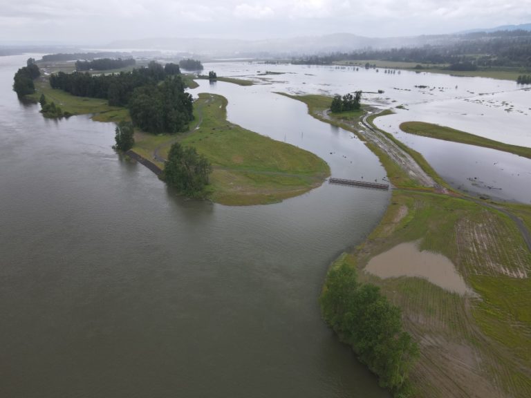 An aerial view of the Steigerwald Lake National Refuge near Washougal shows flooding in June 2022.