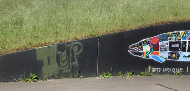 Graffiti is painted on a wall in Washougal. Graffiti is becoming a common problem in the city.
