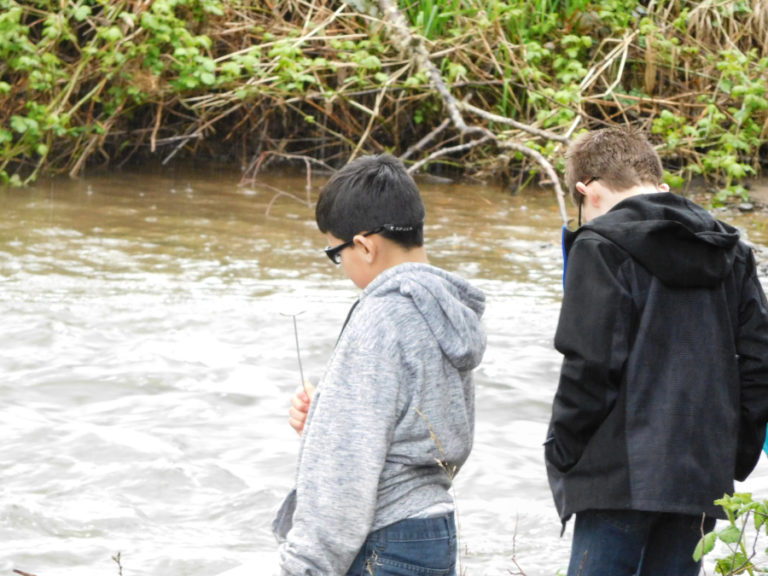 Jemtegaard Middle School students monitor Gibbons Creek for phosphates, nitrates, turbidity, dissolved oxygen, pH, temperature and macro invertebrates in 2016.