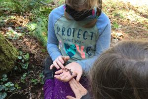 Children participate in the TreeSong Nature Awareness and Retreat Center's Circle Keepers Nature Immersion Program in 2022. TreeSong plans to launch a new Forest School, an outdoor nature education program with a focus on academics, on Sept. 6, 2022. (Contributed photos courtesy of Michelle Fox)