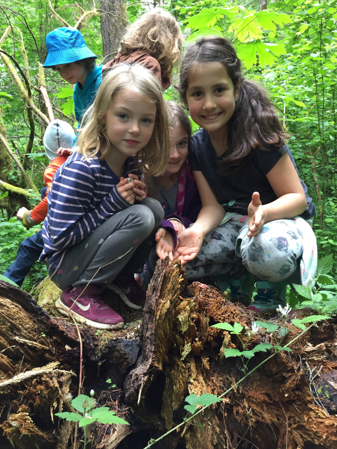 Children participate in the TreeSong Nature Awareness and Retreat Center&#039;s Circle Keepers Nature Immersion Program in 2022.