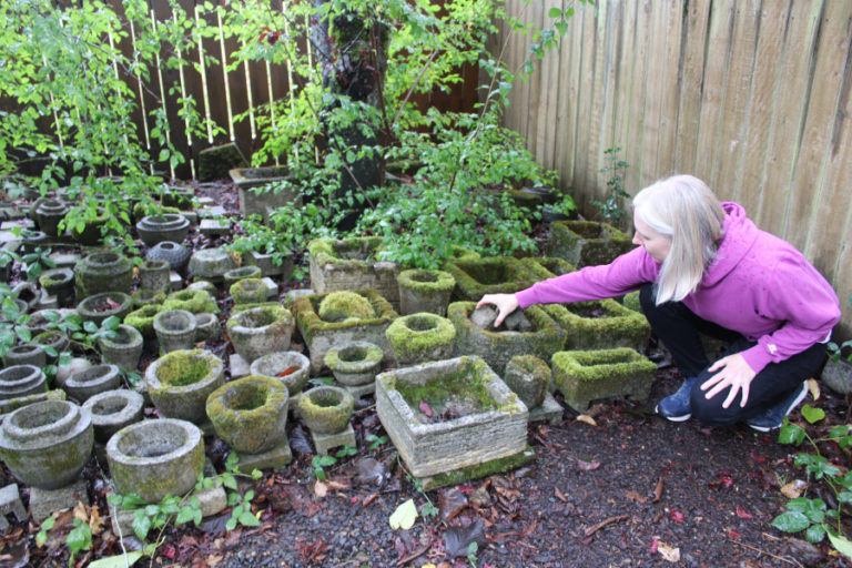 Camas artist Claire Bandfield shows her collection of hand-cast, moss-covered planter pots in her backyard on Monday, Oct. 31, 2022.