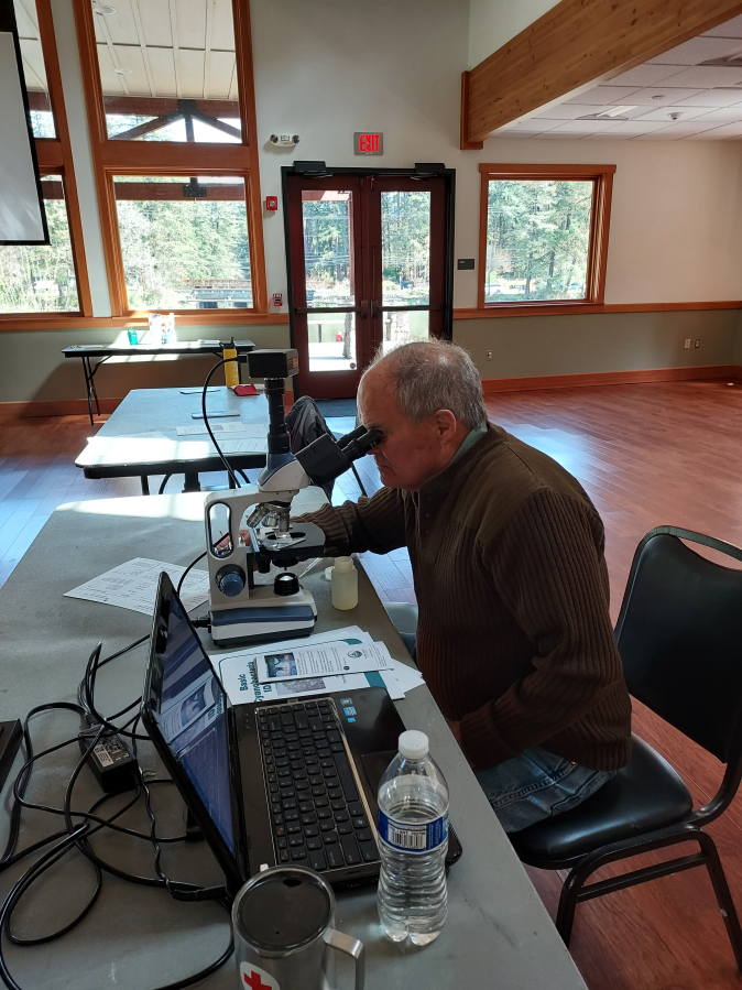 A Lacamas Watershed Council volunteer trains on a microscope inside the Lacamas Lake Lodge during the Watershed Council&#039;s spring 2022 volunteer training.