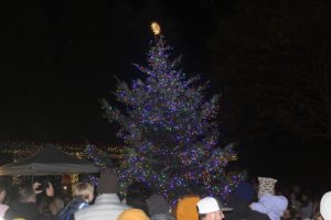 A 17-foot-tall Douglas Fir tree, donated by Washougal residents Larry and Sherri Keister, lights up the center of Reflection Plaza on Thursday, Dec. 1, at the city of Washougal's annual Christmas Parade and Tree Lighting event. (Doug Flanagan/Post-Record)