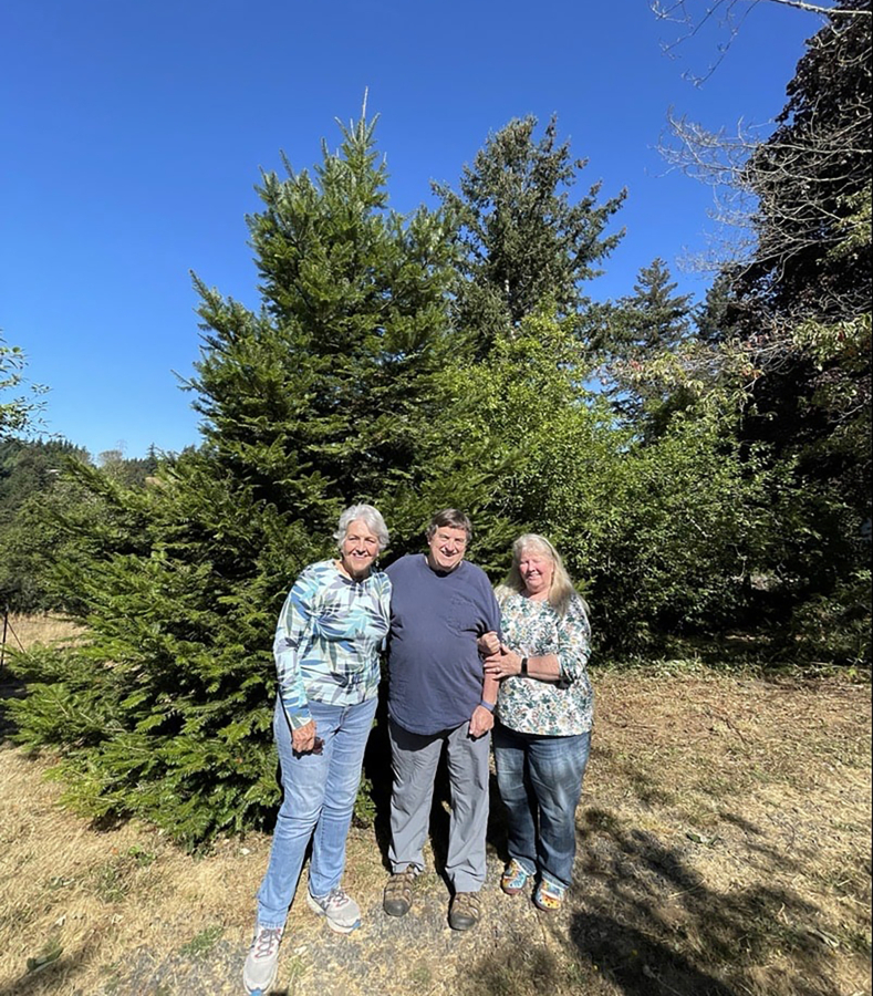 Family donates tree to Washougal CamasWashougal PostRecord