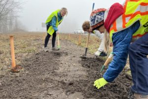 Clockwise right to left, Cindy Eisenman, Dion Gutkind and Melanie Wilson of the East County Citizens Alliance tend to a small "demonstration" garden on state Route 14 close to the Washougal River Road roundabout in January 2023. ECCA members planted the garden to prepare for the 4,000-square-foot wildflower bed they will be planting on the highway later in 2023. (Contributed photo courtesy of Barb Seaman)