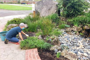 Port of Camas-Washougal Commissioner Cassi Marshall cleans a section of garden at Parker's Landing Historic Park in 2023. (Contributed photos courtesy of Parkersville National Historic Site Advisory Committee)