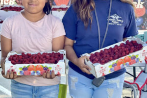 Vendors display flats of fresh raspberries during the 2022 Camas Farmer's Market. This year's market will kick off at 3 p.m. Wednesday, May 31, 2023, in downtown Camas, between Camas City Hall and the Camas Public Library on Northeast Fourth Avenue. The 2023 market will run from 3 to 7 p.m. each Wednesday, May 31 through Sept. 27, 2023. (Contributed photo courtesy of Downtown Camas Association)
