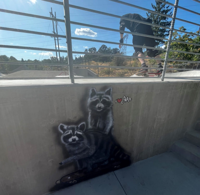 A skateboarder passes over a raccoon mural by Washougal artist Kevin Seagraves (not pictured) at the city of Camas' recently remodeled Riverside Bowl Skatepark in Camas on Thursday, July 27, 2023.