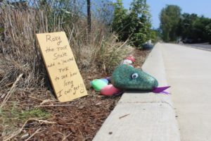 Washougal resident Katrina Voshall is inviting people to add hand-painted rocks to 