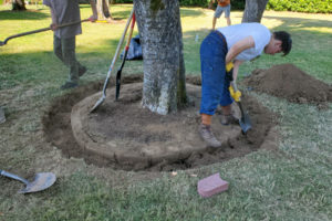 Boy Scout Troop 562 members dig a ring around a tree at Parkersville Landing Historic Park in July. (Contributed photo courtesy Susan Tripp)