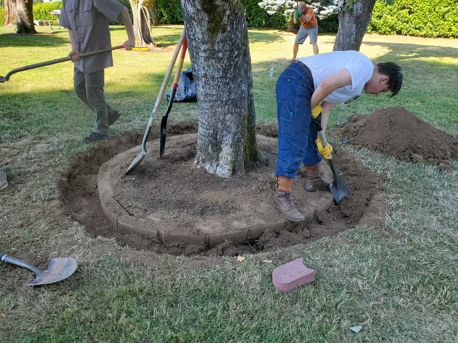 Boy Scout Troop 562 members dig a ring around a tree at Parkersville Landing Historic Park in July. (Contributed photo courtesy Susan Tripp)