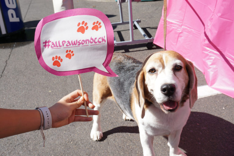The fifth annual All Pawks on Deck street fair will be held Saturday, Sept 23, 2023, in downtown Camas.