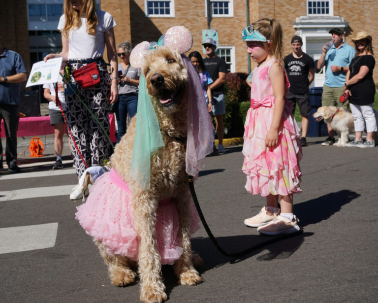A dog displays its costume during the All Paws on Deck street fair's costume contest in September 2022.