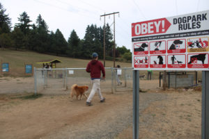 Dog owners take their pets to DOGPAW's IKE Memorial Park in Vancouver on Saturday, Sept. 23, 2023. (Kelly Moyer/Post-Record)