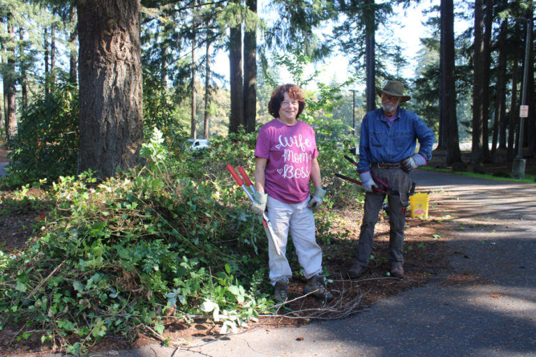 Kelly Moyer/Post-Record 
 Brett Tarnet (left) and John Tweto, of Washougal, stand near a pile of ivy they pulled from trees near Lacamas Lake during the annual lake cleanup and ivy pull event held Saturday, Sept. 30, 2023, at Heritage Park in Camas.