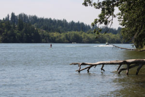People boat and paddleboard in Lacamas Lake July 31, 2020. (Kelly Moyer/Post-Record files)