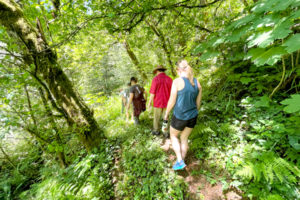 Hikers walk through a section of old forest and riparian habitat near the West Fork Washougal River in an undated photo. (Contributed photo courtesy of Columbia Land Trust)