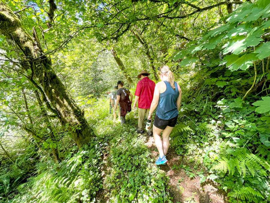 Hikers walk through a section of old forest and riparian habitat near the West Fork Washougal River in an undated photo. (Contributed photo courtesy of Columbia Land Trust)