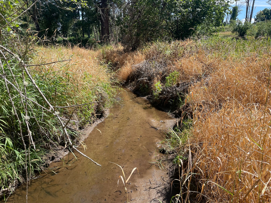 Incised channels of Campen Creek at lWashougal’s Mable Kerr Park are “see incise channels, and they are a clear indicator of an urbanized stream in a degraded system,” according to city of Washougal stormwater program coordinator Sean Mulderig. (Contributed photo courtesy of the city of Washougal)