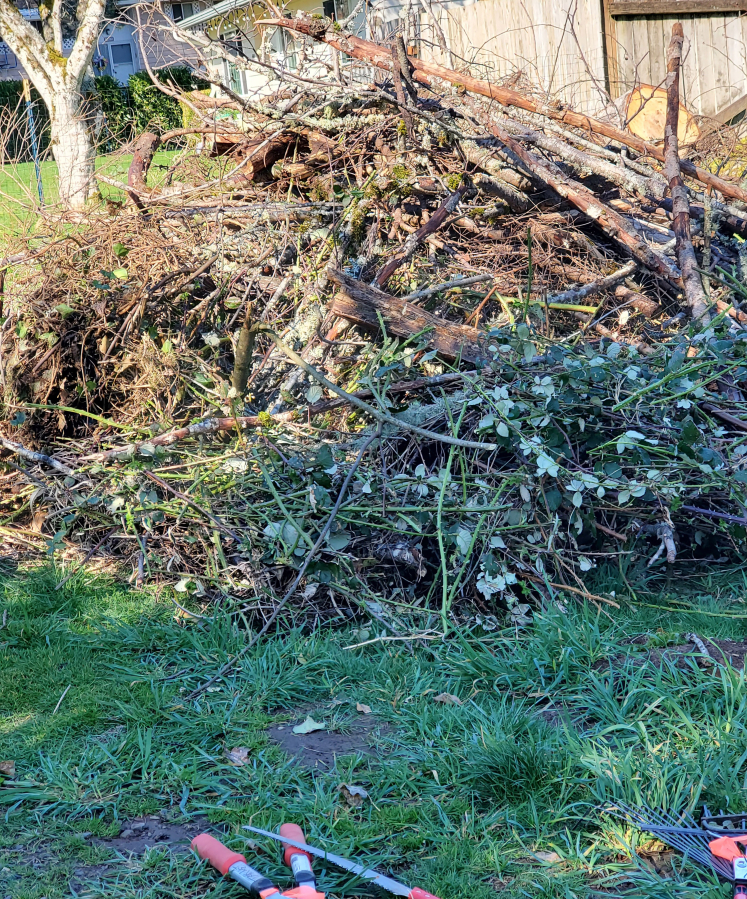 Community members add to a debris pile (pictured) at Mable Kerr Park in Washougal, Sunday, March 17, 2024.