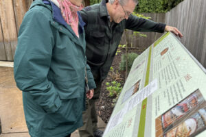 Karen Douglass and Allen Gonzales look at the recently installed “Pieces of History: An Artifacts Timeline” exhibit at the Two Rivers Heritage Museum in Washougal in 2024. (Contributed photo courtesy of Rene Carroll)