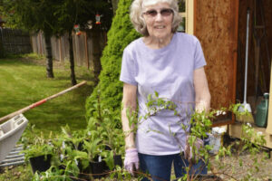 The Camas-Washougal HIstorical Society will host a plant fair from 10 a.m. to 3 p.m. Saturday, May 18, 2024, at the Two Rivers Heritage Museum in Washougal. (Photo courtesy of the Camas-Washougal Historical Society)