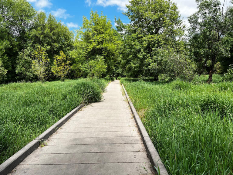 A pedestrian bridge along the Washougal River Greenway Trail in Camas leads through a grove of trees on Friday, July 22, 2022.