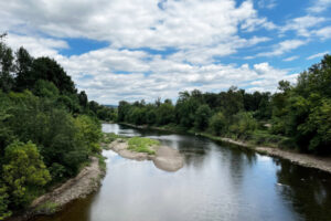 Clusters of trees are viewed from a pedestrian bridge along the Washougal River Greenway Trail in Camas, July 22, 2022. (Kelly Moyer/Post-Record files) 