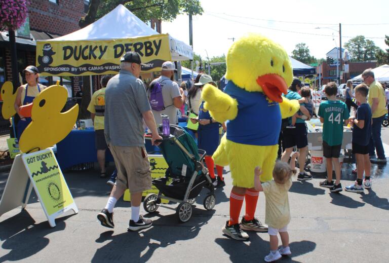 A duck mascot promoting the Camas-Washougal Rotary Club's annual Ducky Derby, greets a young visitor during the 2024 Camas Days festival, Friday, July 26, 2024. (Kelly Moyer/Post-Record)