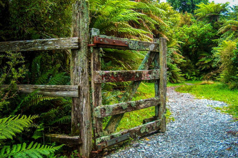 Photographer Leslie Struxness captured this image of a rustic gate while traveling in New Zealand. Struxness, an OB-GYN from Vancouver, is showing her travel photos at the Second Story Gallery in Camas, through the month of January.