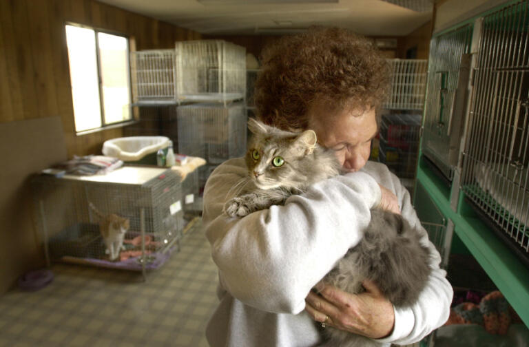 Contributed photo courtesy of Dave Olson Mary Mabry of the West Columbia Gorge Humane Society holds &ldquo;Fat Cat&rdquo;, a female adult feline, at the WCGHS cat shelter in 2002.