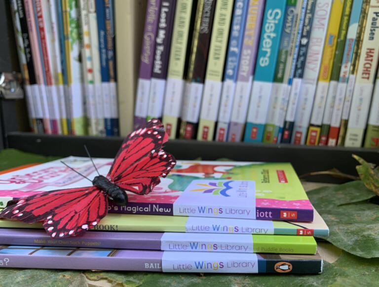 A handmade butterfly decorates a stack of Little Wings Library children&rsquo;s books near one of the lending libraries in Camas.