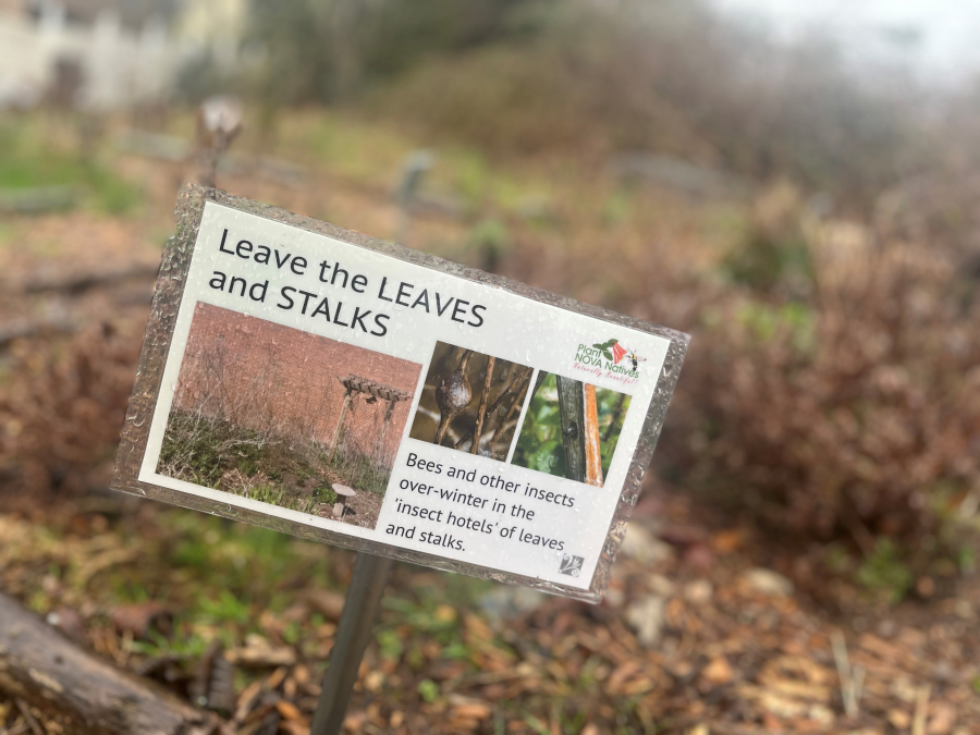 A sign spotted Friday at Prune Hill Elementary’s outdoor living lab in Camas asks people to be aware of overwintering insects. (Kelly Moyer/Post-Record)