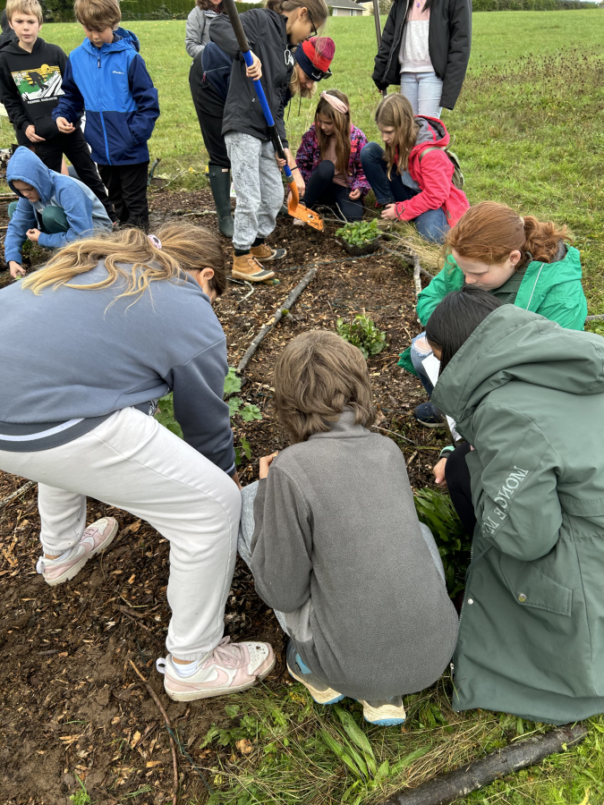 Contributed by Molly McKay Williams
Prune Hill Elementary School fifth-graders plant native plants at their school’s outdoor living lab in an undated photo.