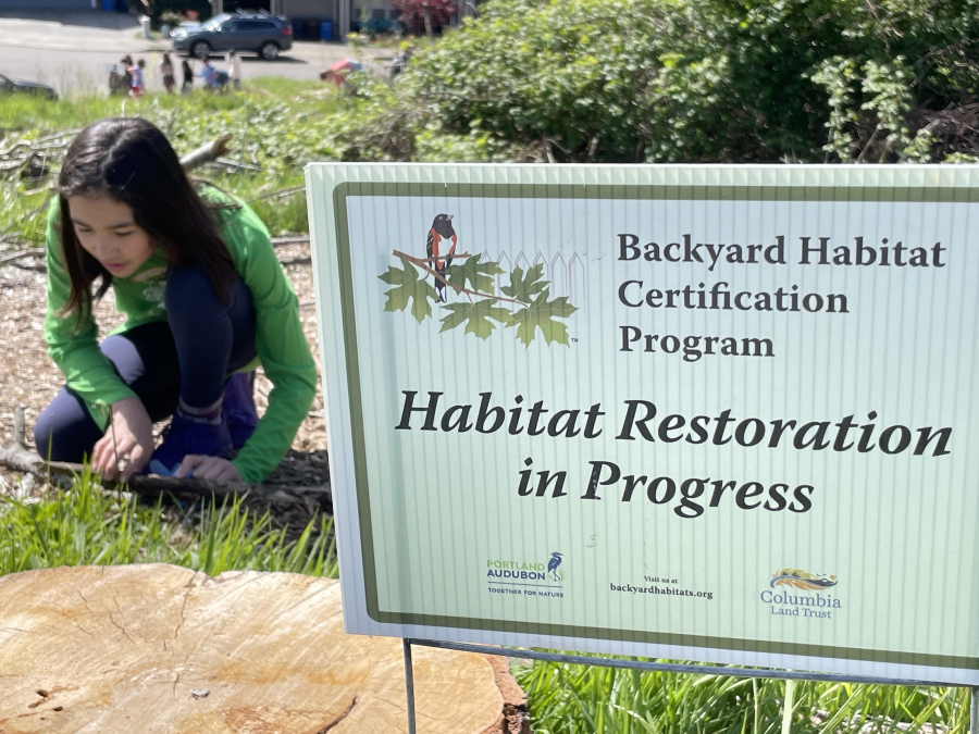 A Prune Hill Elementary School student kneels next to a Backyard Habitat sign at the school’s outdoor living lab. (Contributed by Molly Williams)