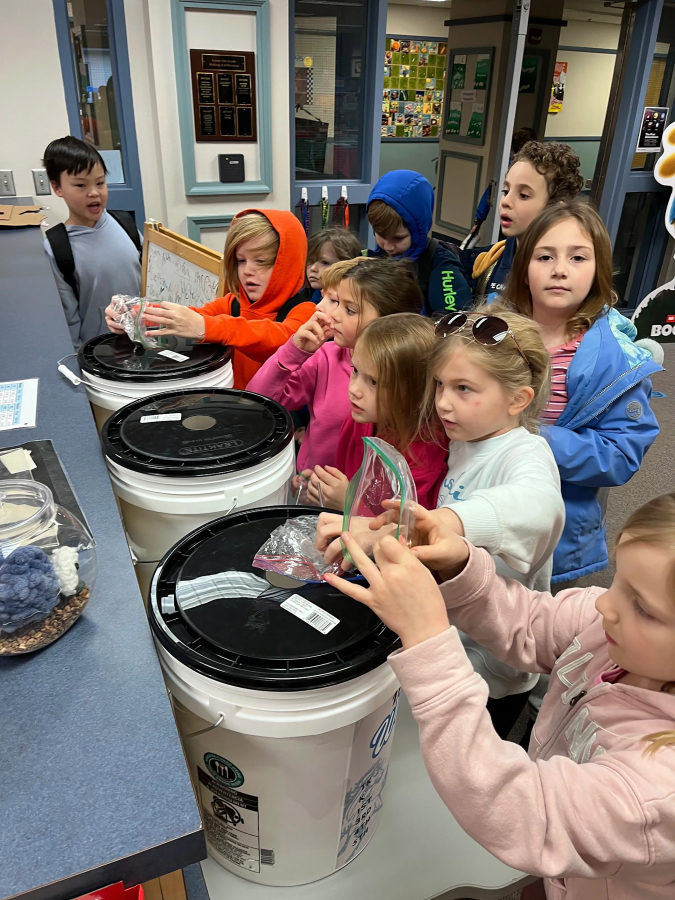 Gause Elementary School students place coins and bills in buckets in the school library in March 2025. (Courtesy of Nicole Mitchell)