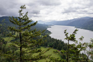 The Columbia River snakes through the Columbia River Gorge, seen from the Cape Horn lookout in May. The Columbia River Gorge Commission oversees the national scenic area. (Amanda Cowan/The Columbian files)