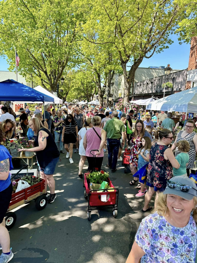 Crowds gather at the Downtown Camas Association&rsquo;s 2024 Camas Plant and Garden Fair in downtown Camas. This year&rsquo;s fair, set for 9 a.m. to 4 p.m. Saturday, will feature nearly 100 vendors selling a huge array of plants, flowers, vegetable starts and garden art. (Courtesy of the Downtown Camas Association)